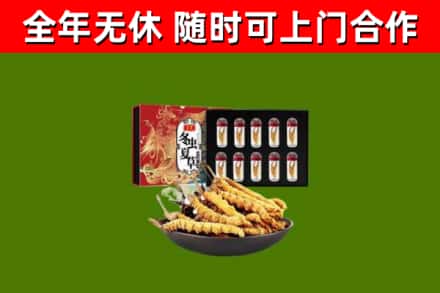 东西湖区回收冬虫夏草价格