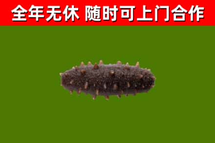 东西湖区烟酒回收干海参.jpg